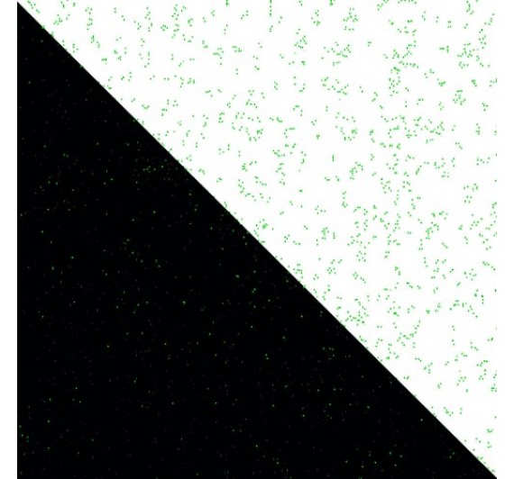 G302 - Star Dekoratif Boya