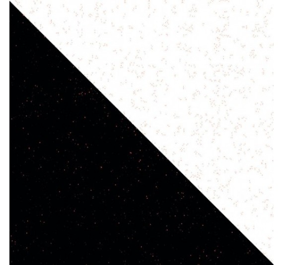 G303 - Star Dekoratif Boya